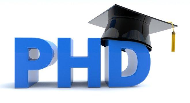 Fully Funded PhD Position at University at Albany – Environmental Sciences | Fall 2025 Intake