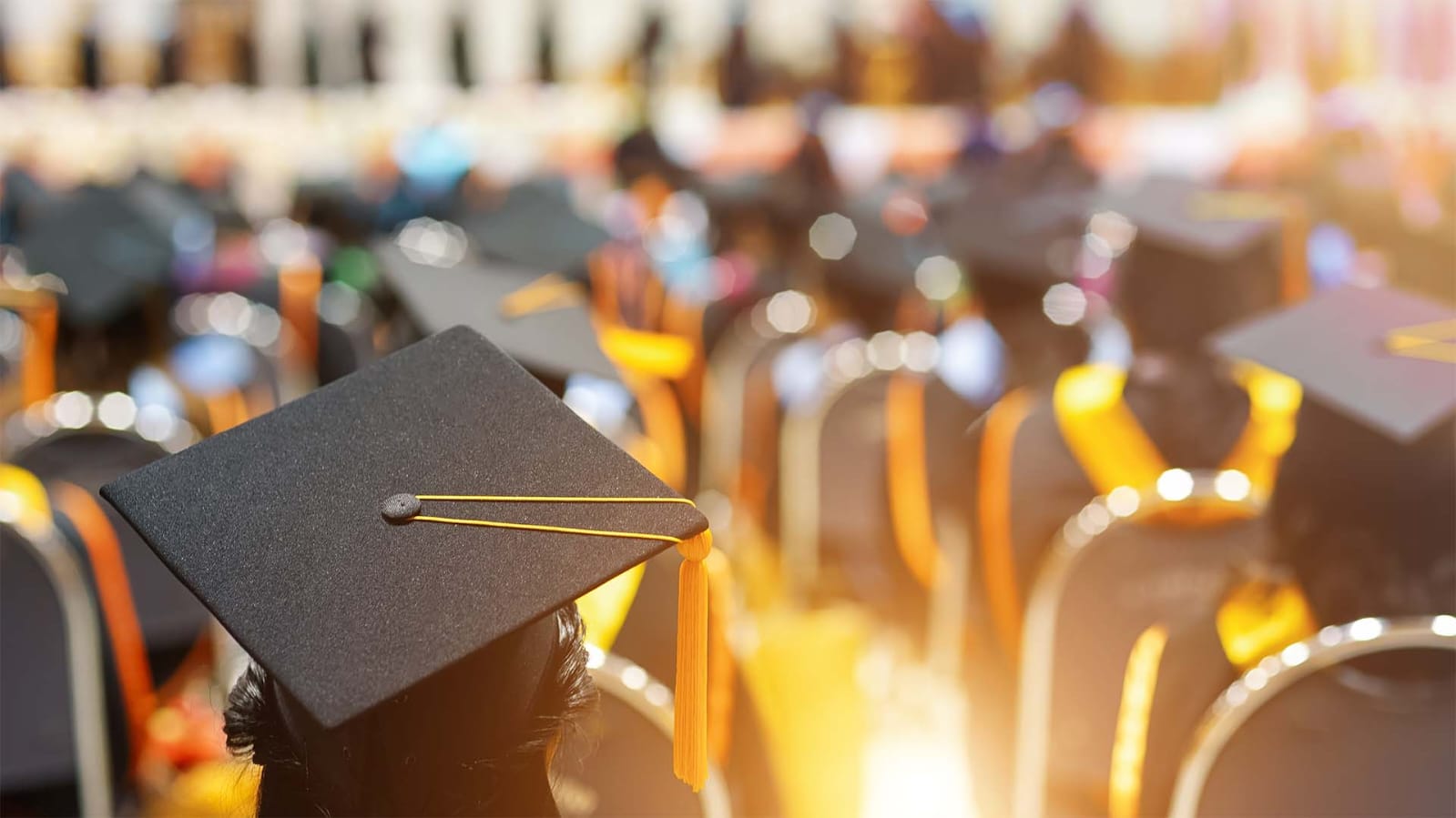 Fully Funded PhD Opportunity in Infrastructure Network Modeling & Optimization | University of Calgary 2025