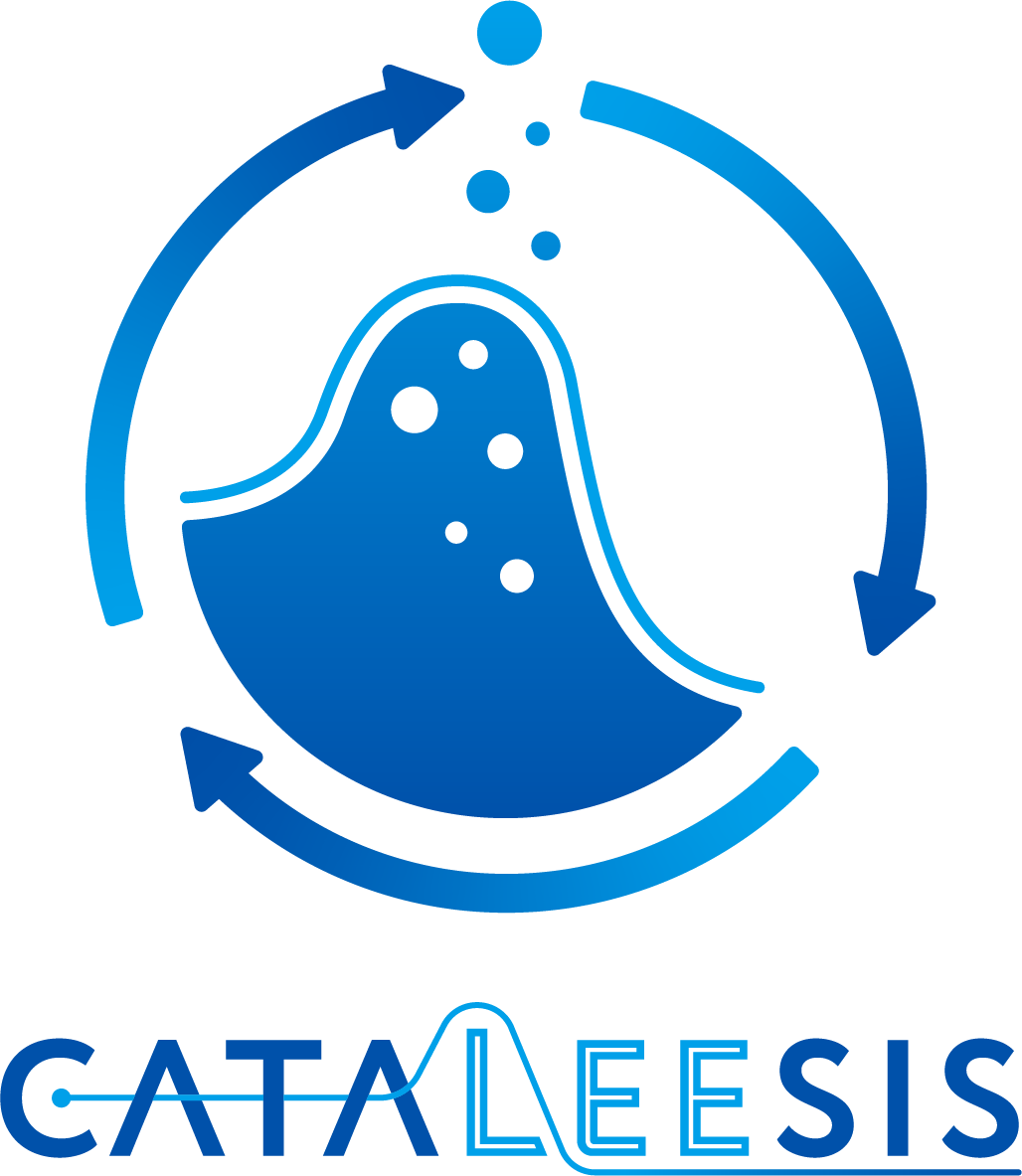 Fully Funded PhD & Postdoc Positions in Catalysis and Stereoselective Synthesis at KAIST – Apply Now!